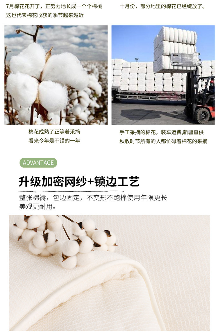 Xinjiang cotton quilts, long-staple cotton winter quilts, thick and warm cotton quilts, cotton quilts, single-person quilts, quilt cores, wholesale quilts pic 14