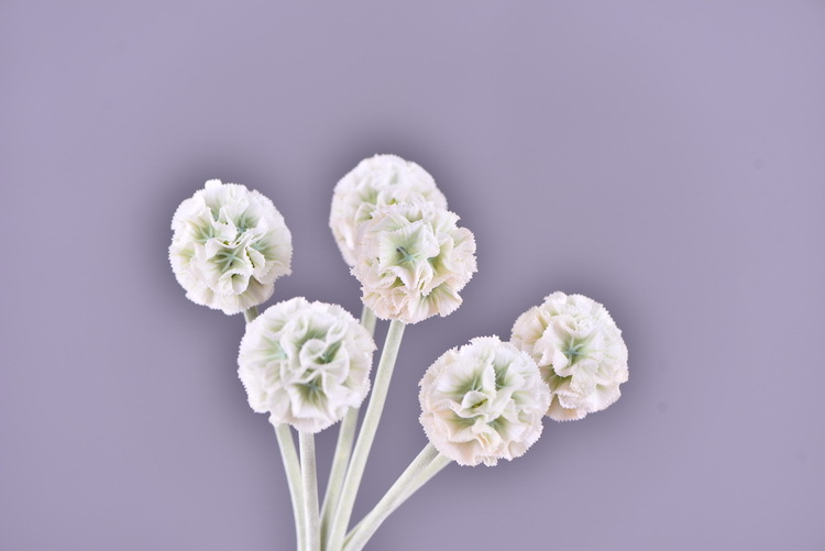 High-quality artificial flowers of windmill chrysanthemum in stock, windmill flower, pine, insect fruit, living room, wedding decoration, flower arrangement art, windmill fruit pic 30