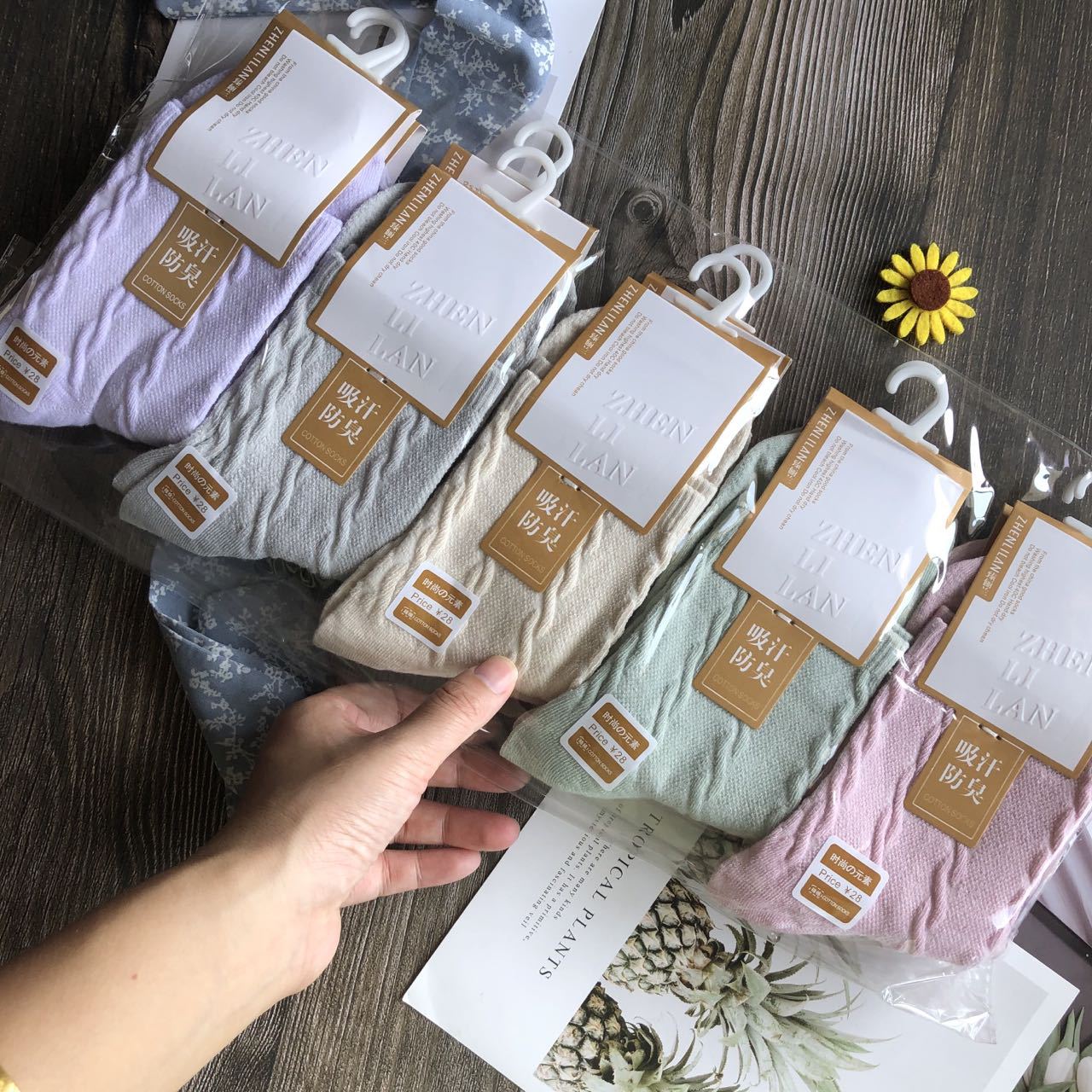 微信图片_202208151509161