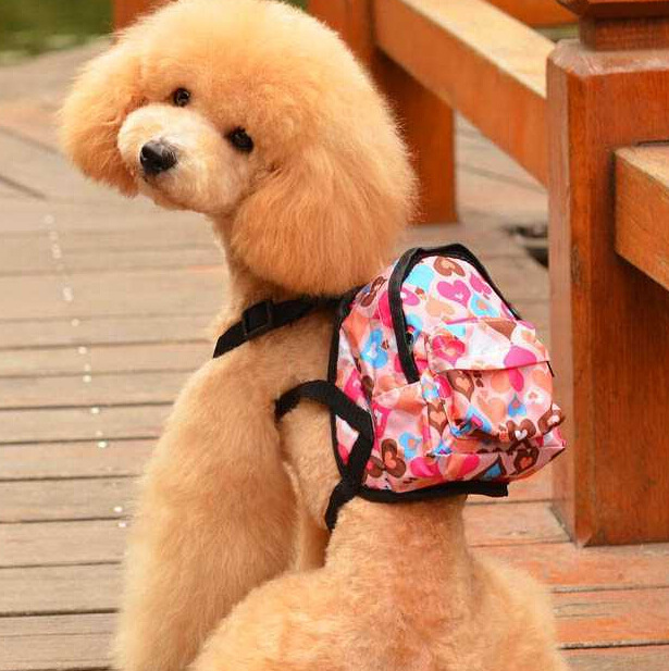Pet backpack for portable and cute cartoon dog backpack with built-in leash. Dog schoolbag and pet backpack pic 2