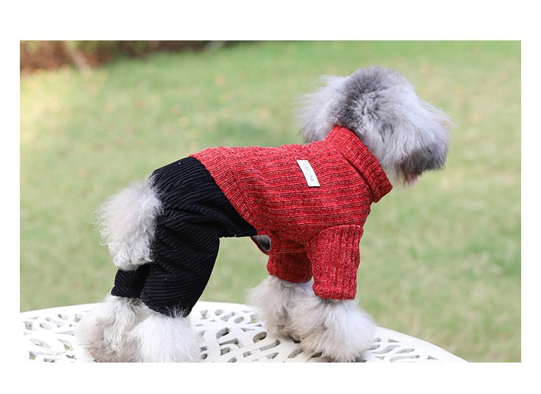 Pet suéter nuevo color sólido moda perro cuatro pies otoño invierno engrosado caliente cómodo cuello alto gato suéter pic 5