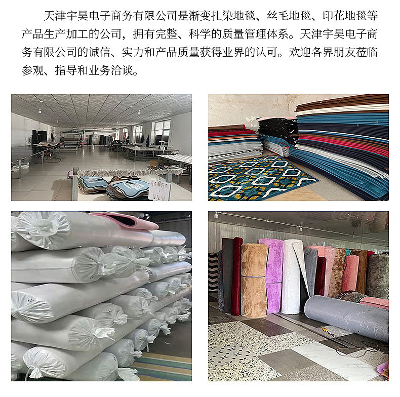 卡通可爱家用耐磨玄关大门口刮泥蹭土脚垫家用防滑耐磨丝圈地垫详情19