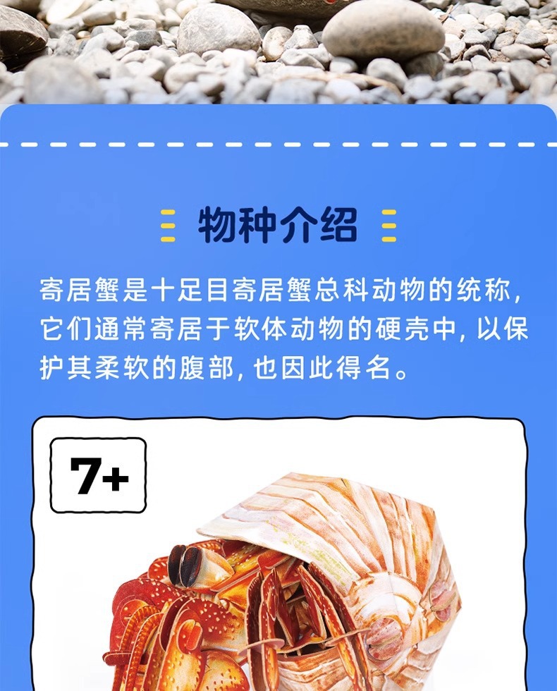 梦巴格3D立体纸拼图益智模型手工拼插装玩具自然科普橙红陆寄居蟹中国地理拼图详情2