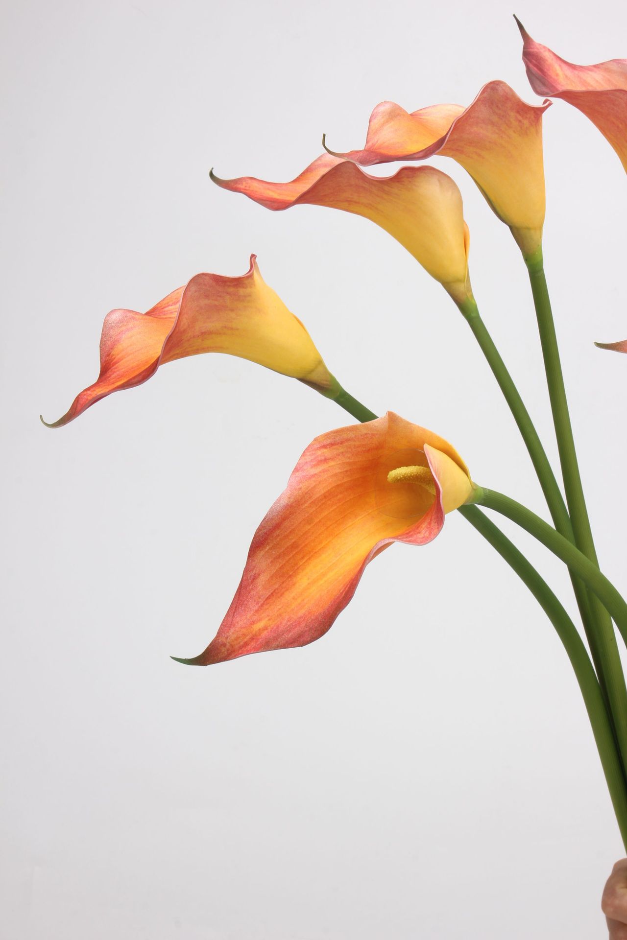 工厂直销 EVA马蹄莲仿真花海芋手感假花单枝婚庆家居插花配材道具详情37