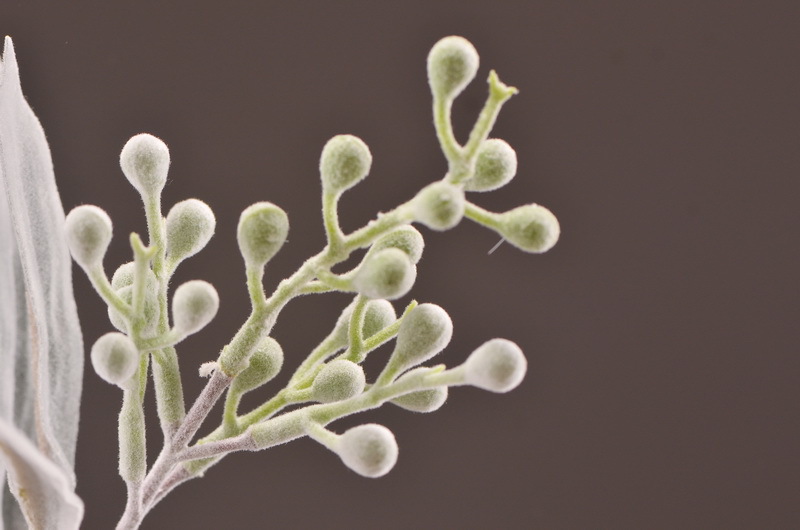 Dongli Flower Industry Factory Direct sales, wholesale of artificial flowers and fake flowers, 2-fork-scented green leaves, home decoration sample rooms, photography fake flower ornaments, one-piece consignment pic 10