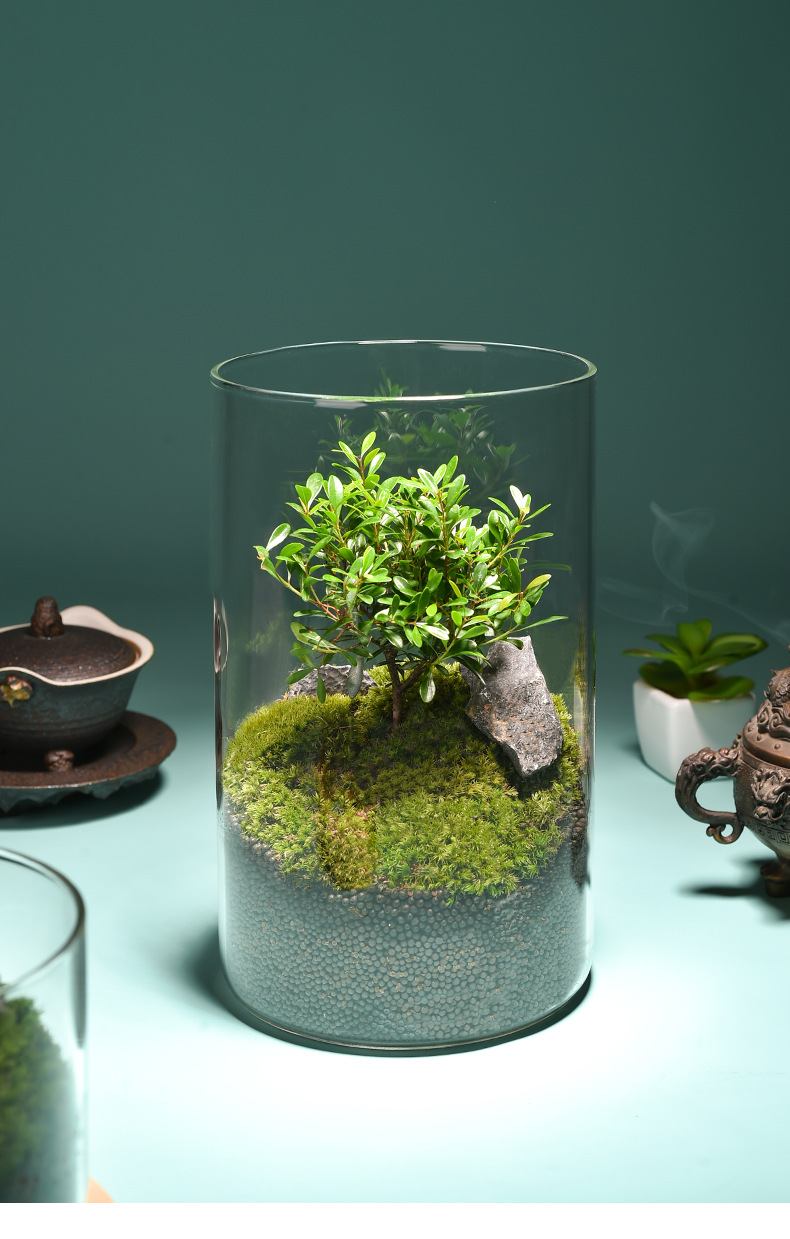 Wholesale transparent micro-landscape glass vase ornaments, hydroponic ecological bottles, diy moss tanks, succulent flower POTS, glass jars pic 31