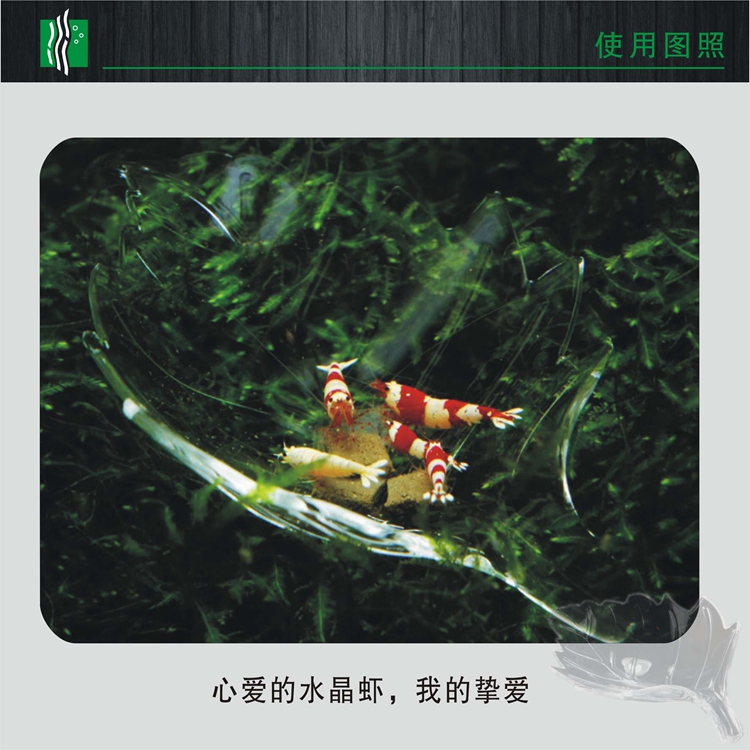 Leaf-shaped crystal shrimp feeding basin, acrylic feeding basin, ornamental shrimp feeder, feeding basin, feeding tube, shrimp food tray pic 4