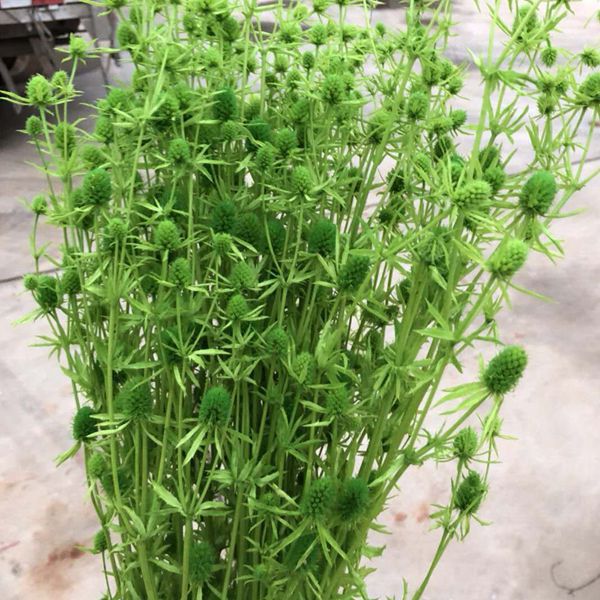 微信图片_20180626132048_副本