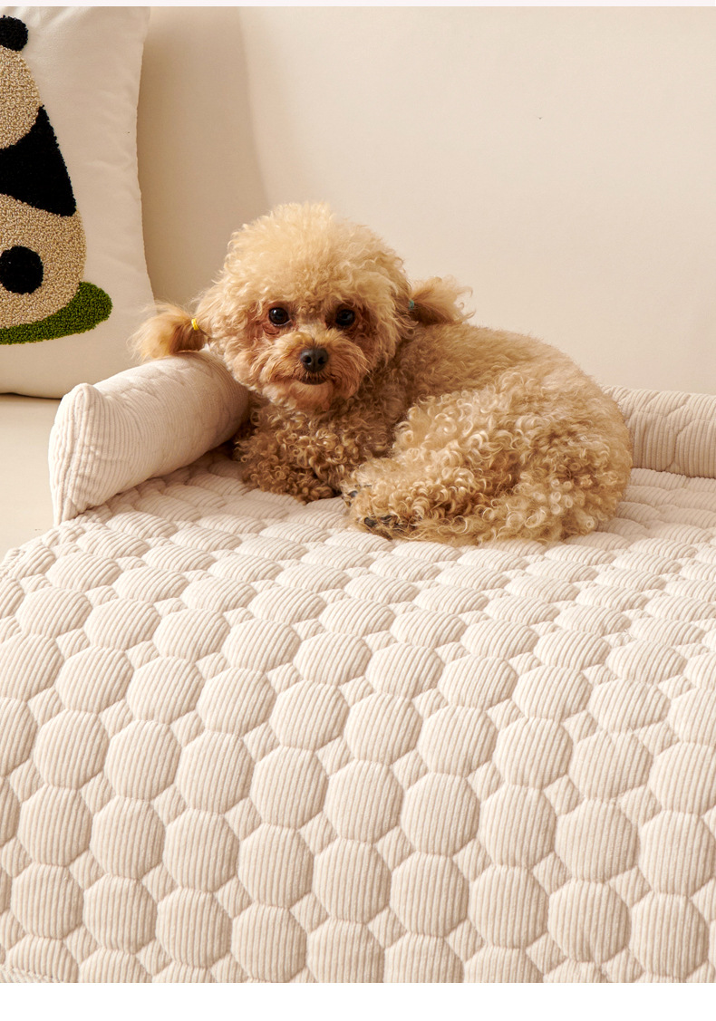 宠物沙发垫加厚防猫抓沙发宠物窝防滑猫狗睡觉用狗窝猫垫详情3