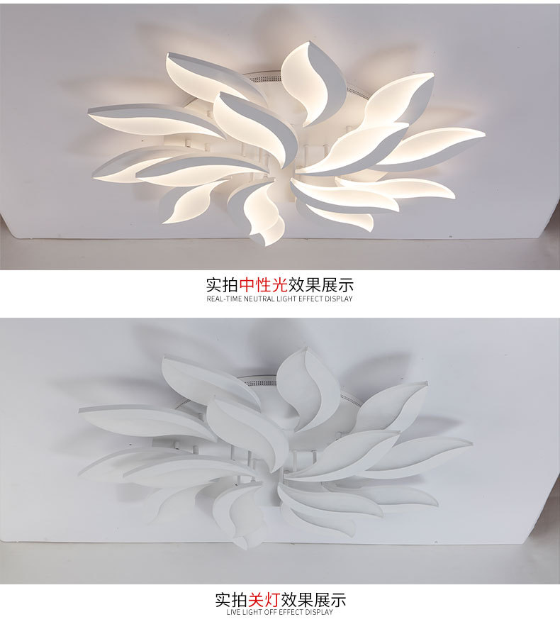 Postmodern minimalist LED ceiling lamps, personalized and creative living room lighting fixtures, grand master bedroom, study lamps, dining room lighting fixtures pic 13