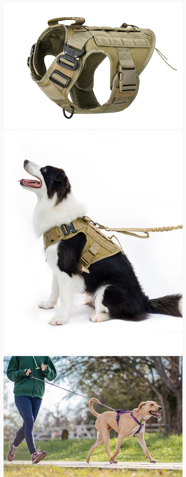 亚马逊宠物背带喂食器猫狗饮水机止吠器产品拍照摄影视频制作服务详情15