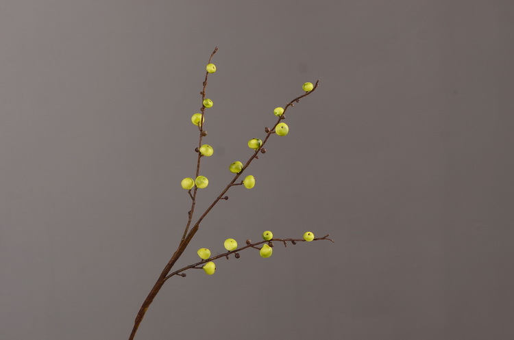 Artificial rosehip, artificial plant fruit, berry, American decorative floral arrangement materials, photography props pic 28