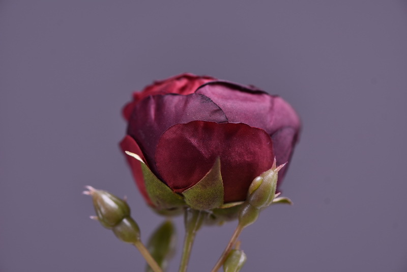 Simulated retro charred edge rose bud home, hotel, banquet table flower, high-end simulated rose, simulated dried flower pic 20