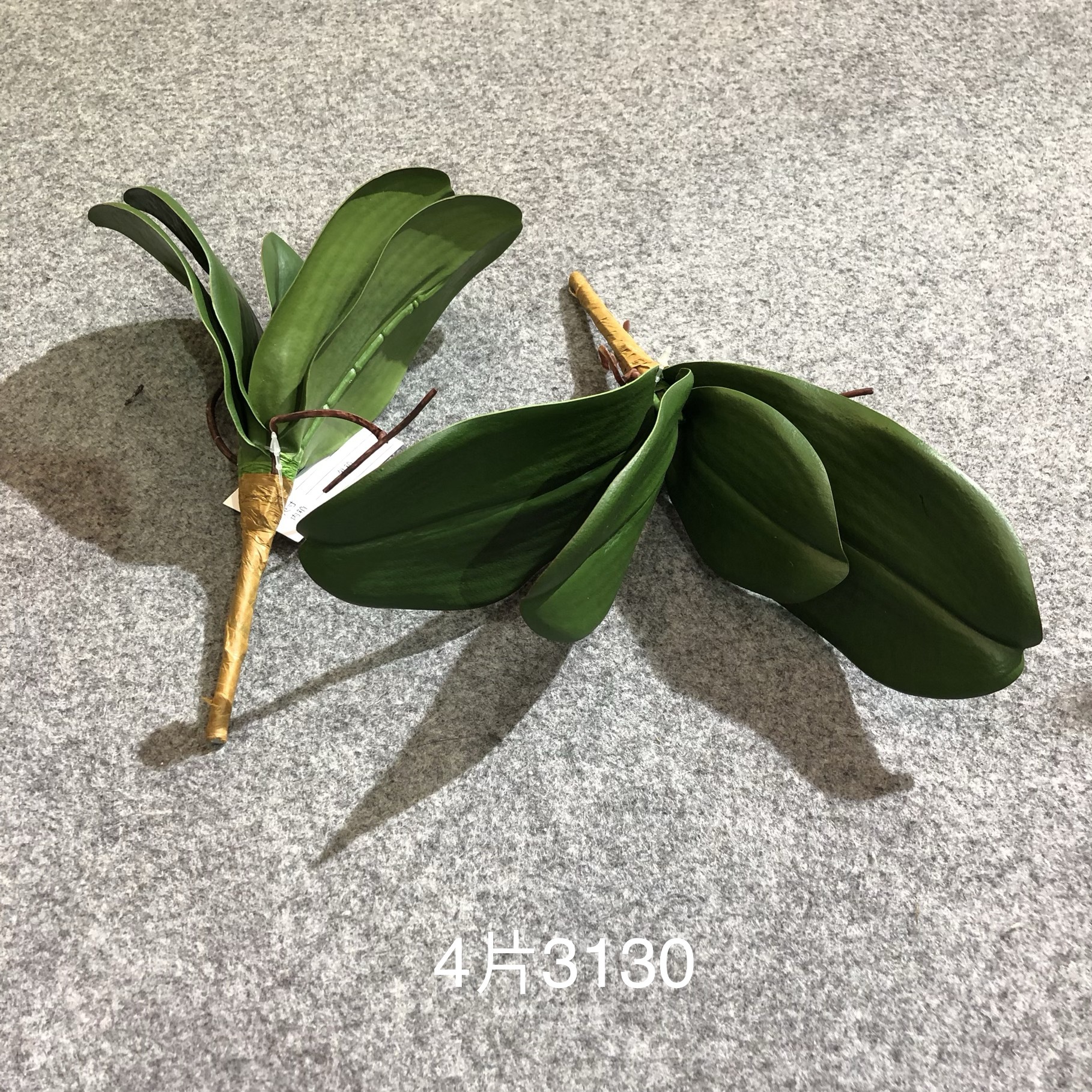 Simulated tiger skin lily, desert plant, simulated agave, single tiger skin lily, yellow-edged tiger skin lily, Phalaenopsis leaves pic 14