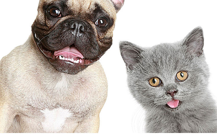 Wholesale manufacturer, wholesale cat beds, dog beds, pet beds, felt, pet beds, four-season fashionable wool felt for warmth pic 3