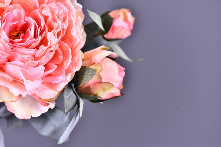 Factory direct sales of faux peonies with charred edges, wholesale of retro faux paeonies, living room and dining table flowers, wedding decoration artificial flowers pic 22