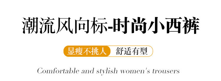 2023秋新款西装裤女宽松垂坠感高腰显瘦小脚裤商务休闲裤女士 T31详情1
