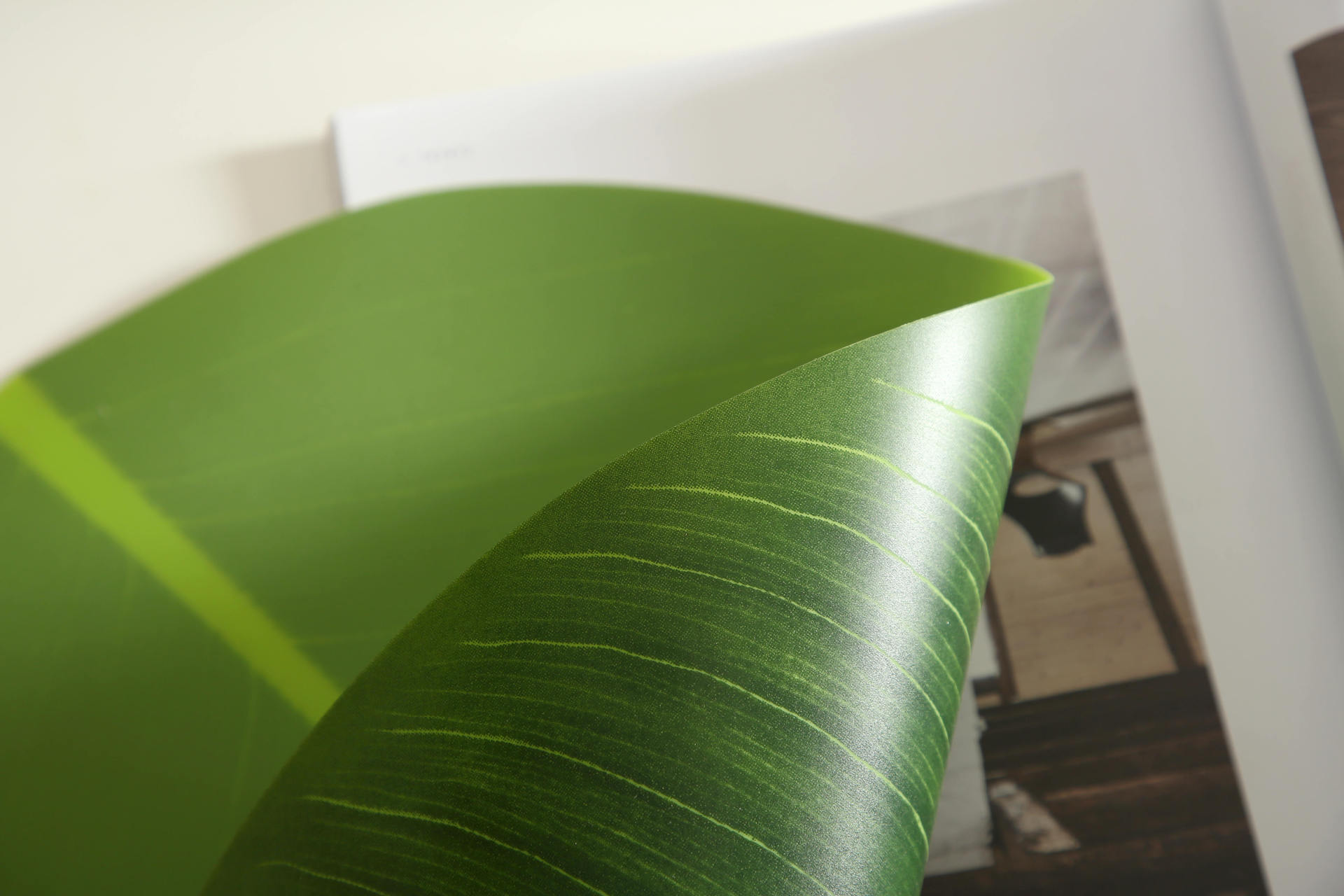 Cross-border artificial leaf PEVA Western-style placemats, home Nordic-style ins decorative placemats, waterproof, anti-slip and heat-insulating table MATS pic 10