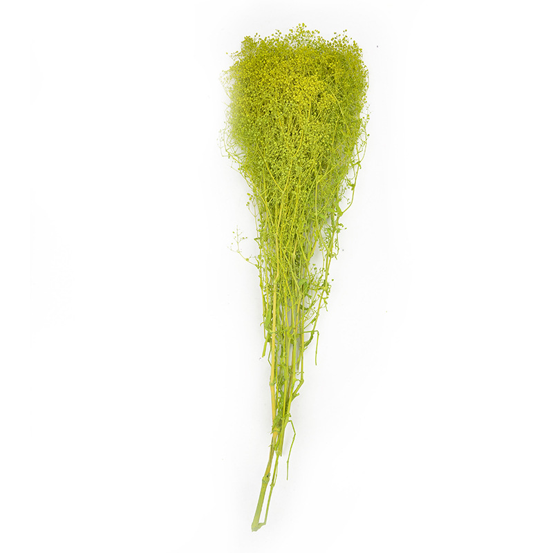 永生花千万星霞草干花花束批发装饰插花情人节生日礼物工艺品材料                              详情6
