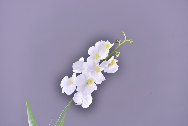 Factory direct sales of high-end artificial dendrobium, wholesale of artificial flowers with leaves, home decoration of Phalaenopsis and Lanjin artificial plants pic 42