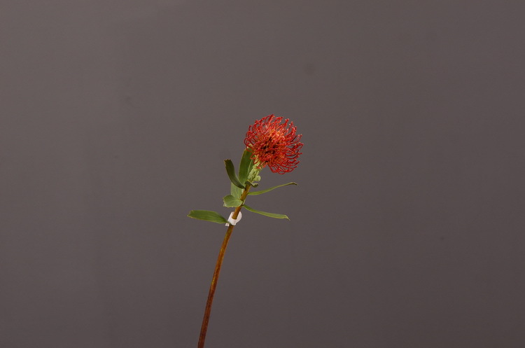 Factory direct sales, wholesale of in-stock inventory of artificial large needle cushion flowers, artificial flower sets, wholesale of living room, dining table, entrance hall, desktop decoration, flower arrangement and ornaments pic 22