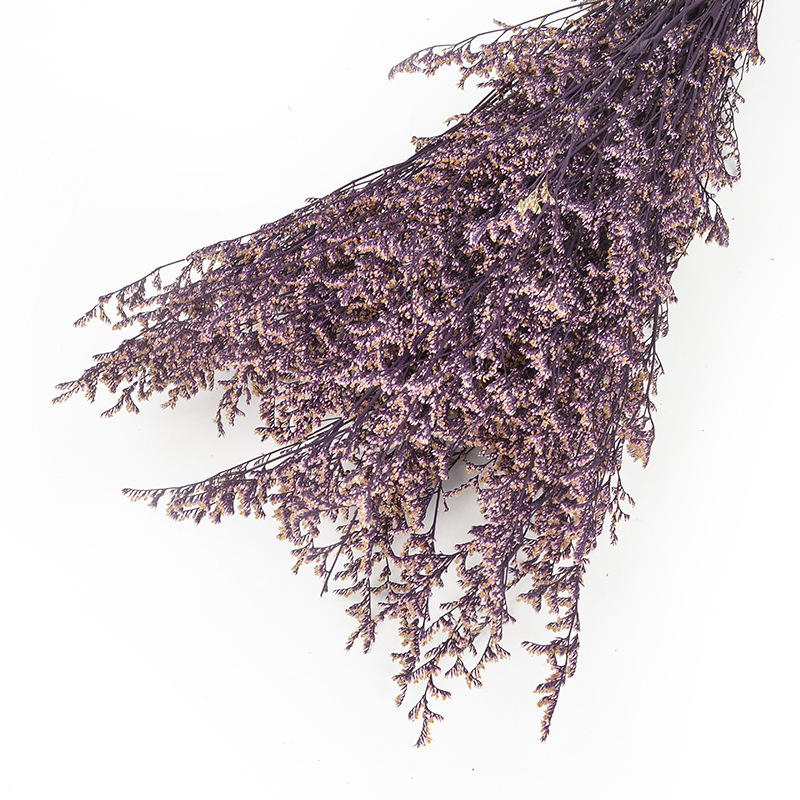 永生情人草批发干花云南干花花束保鲜花情人节礼物配材春节插花                               详情8