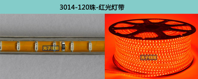 光子照明5050线性灯条5730 rgb柔性亮化贴片led 220v防水高压灯带详情44
