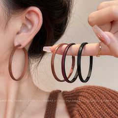 2025年新款闪钻烟花耳环女轻奢气质高级感耳钉小众独特秋冬耳饰品详情6