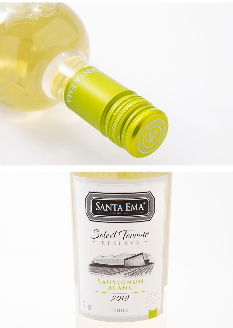 智利原装原瓶进口果香白葡萄酒精选长相思干白葡萄酒现货批发代理详情3