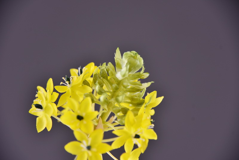 High-end artificial flower wholesale with simulated Bethlehem Star line floral design and simulated velvet decorative artificial flowers pic 19