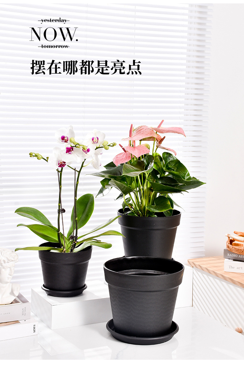 圆形大口径国际盆黑色塑料加仑盆家用客厅阳台树脂花盆厂家批发详情12