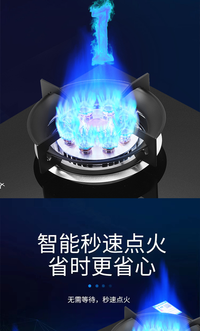燃气灶家用厨卫双九腔猛火灶台嵌两用天然气液化气双灶煤气灶批发详情11