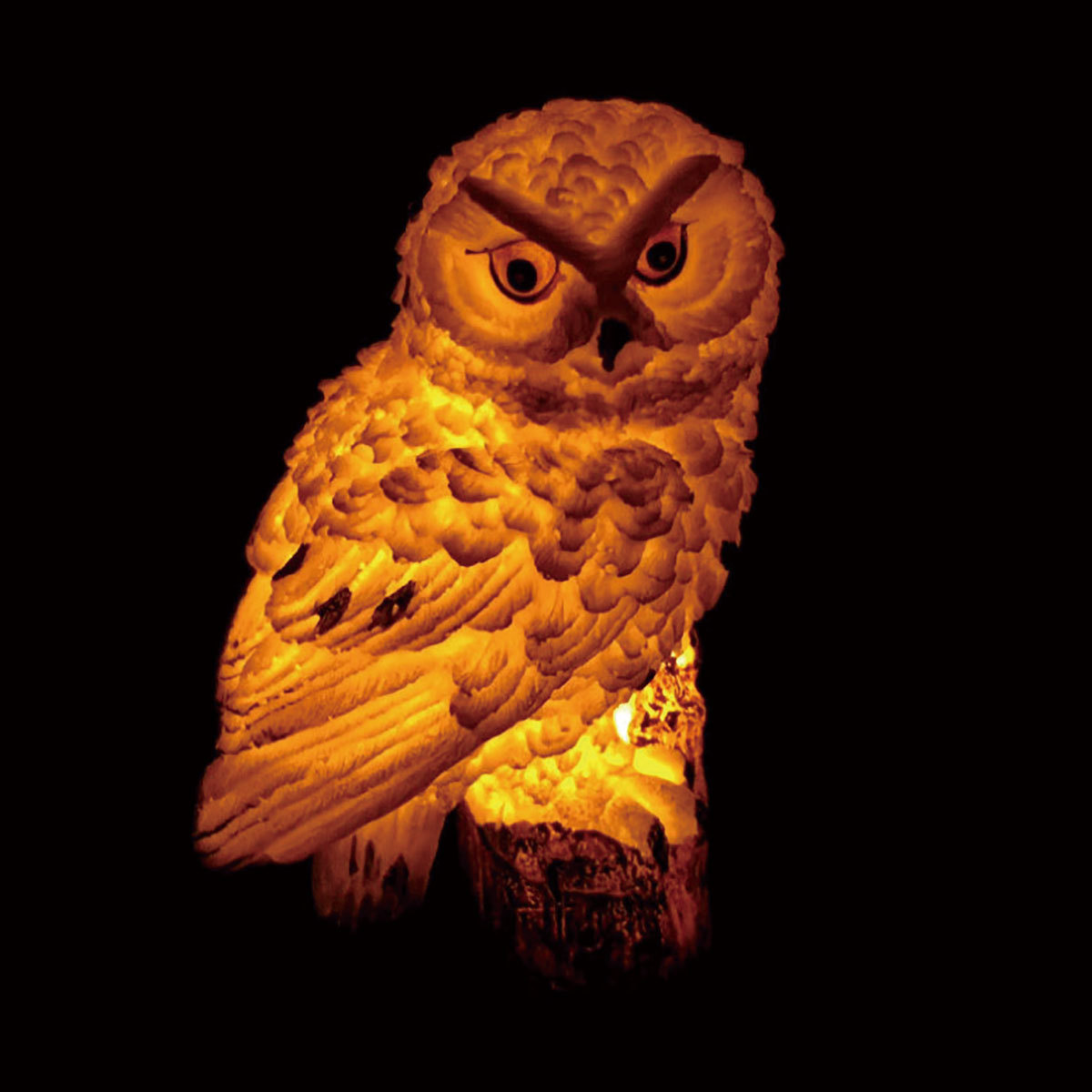 Factory direct sales of garden lights, LED solar owl lights, outdoor courtyard, square, lawn lighting and ground socket lights pic 7