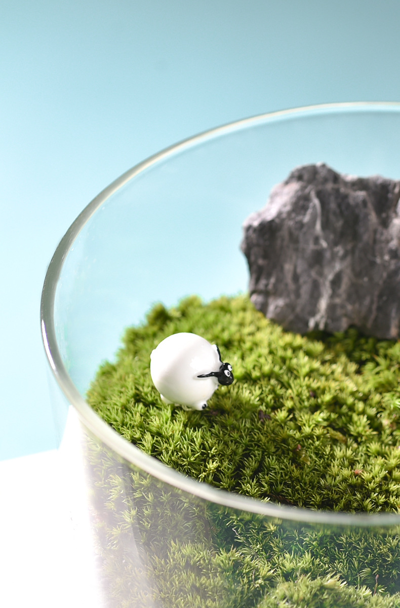 Wholesale transparent micro-landscape glass vase ornaments, hydroponic ecological bottles, diy moss tanks, succulent flower POTS, glass jars pic 11