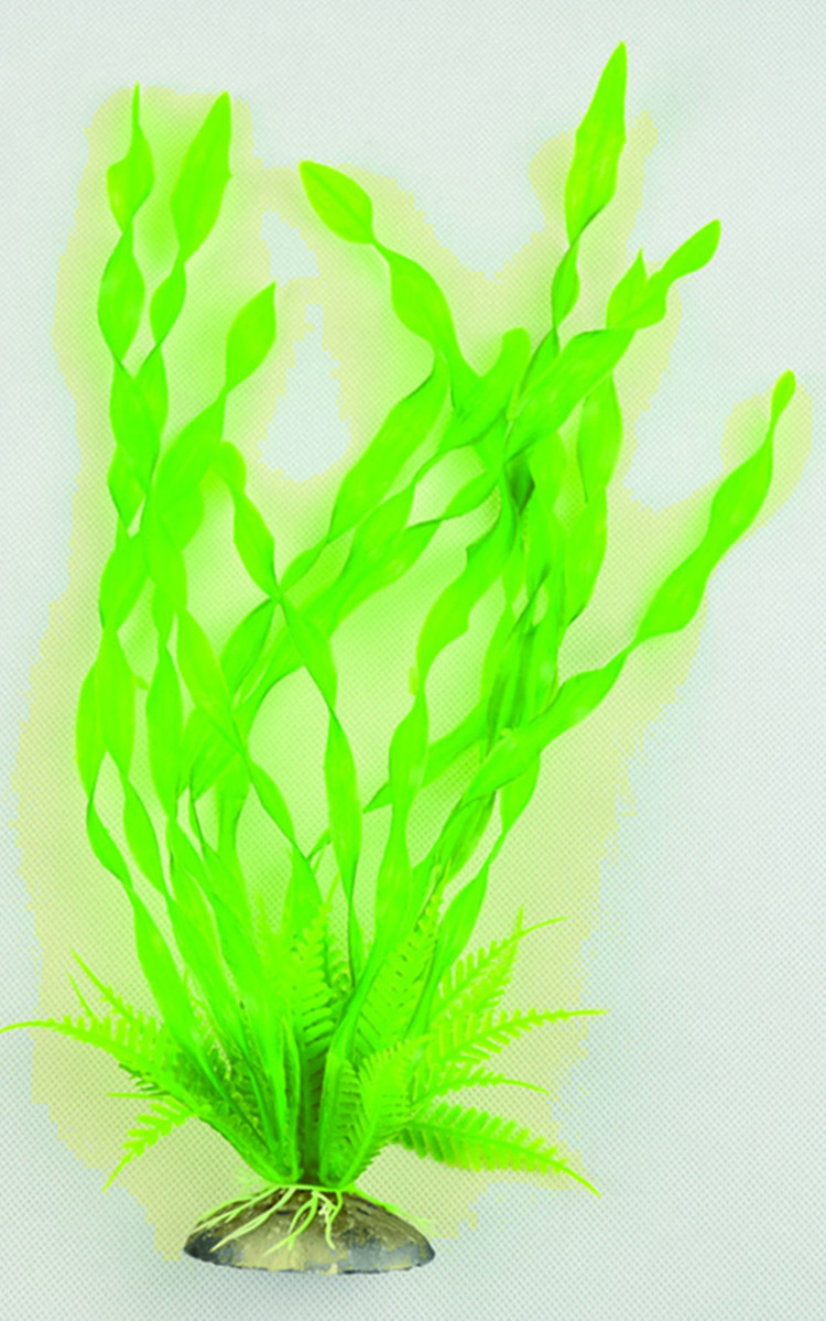 水族箱仿真水草  鱼缸水草 珍珠草匍匐类批发 美丽仿真小草详情32