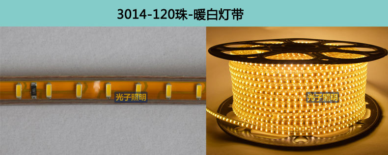 光子照明5050线性灯条5730 rgb柔性亮化贴片led 220v防水高压灯带详情45