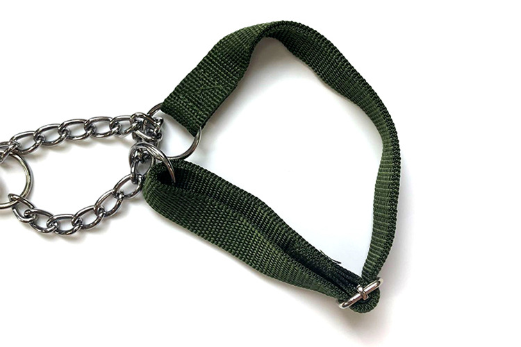 Aishangchong dog leash, dog chain, dog leash, collar, medium-sized Golden Retriever, double-layer leash, collar pic 14