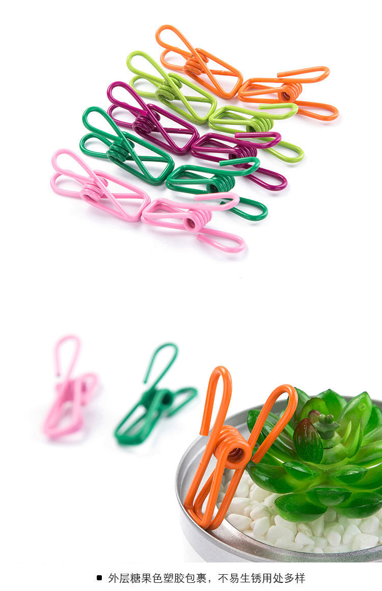 多用途夹子 优质彩色 神器收纳封口夹晒衣夹子旅行户外袜子夹单个详情2