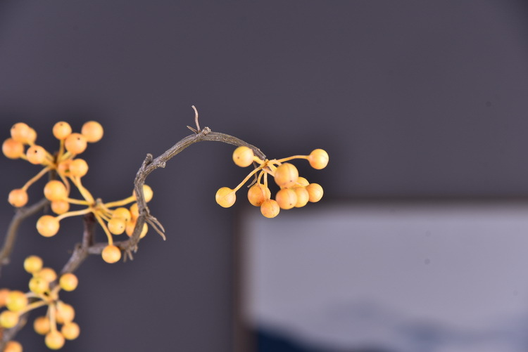 Lanjin Artificial Fruit Factory Direct Sales, wholesale of artificial berries, artificial green vine fruits, Chinese modern and simple decoration, winter green fruits, and mountain prosperity fruits pic 26