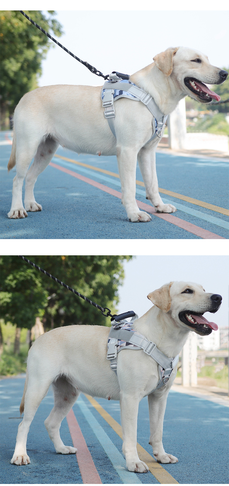 Pet chest and back strap explosion-proof camouflage print dog leash chest and back breathable and comfortable dog commuting pet chest and back pic 14