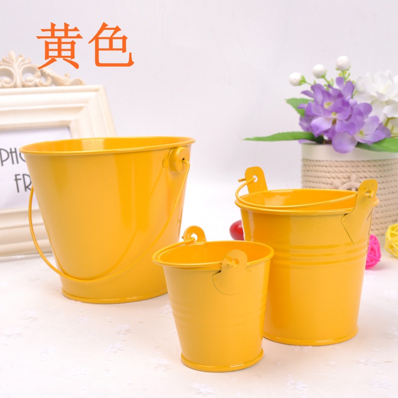 婚庆产品家居装饰摆件金属工艺品迷你铁皮小铁桶 创意马口铁多肉植物花盆详情18
