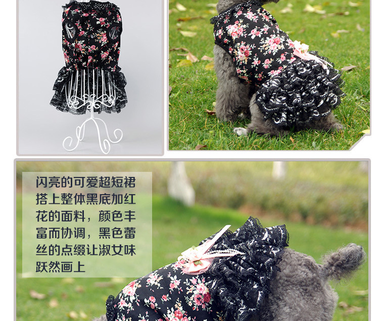 Summer new cool and cute dog dress, fashionable lace small floral cat dress pic 6