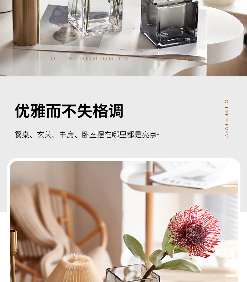 厂家定制轻奢ins风高级感玻璃花瓶家居水培水养鲜花装饰花瓶摆件玻璃花瓶详情2