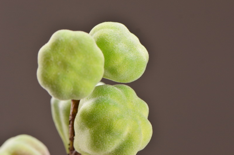 Wholesale of original factory flocking artificial figs, ins popular flower arrangements, artificial berries, entrance hall and hotel decoration pic 10