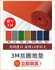 Wholesale of pvc plastic for the entrance door, elevator, hotel welcome, anti-slip wire rings, entrance floor MATS, carpets and foot MATS pic 3