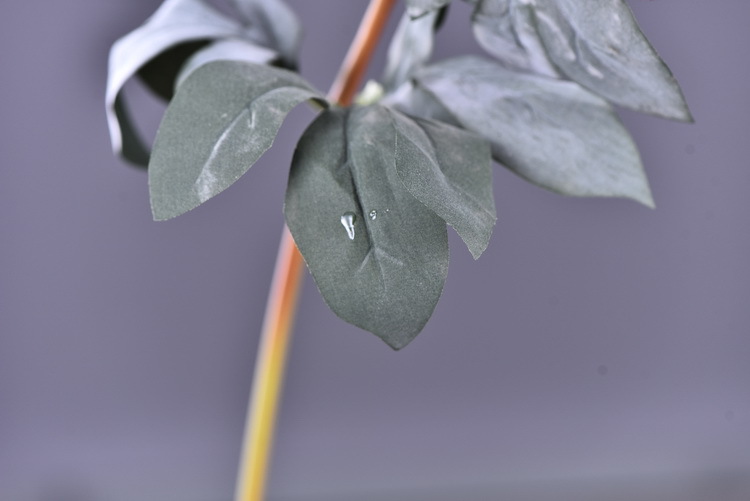 Factory direct sales of 2 simulated peonies, retro charred edge simulated peonies, soft decoration floral art for living rooms, lobbies and homestays pic 59