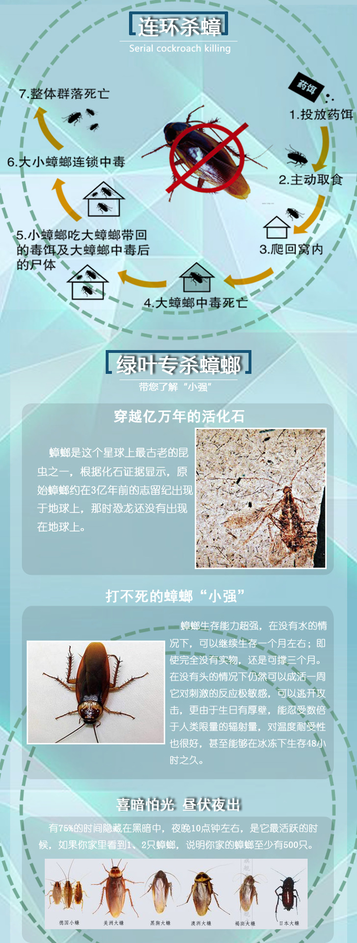 定义