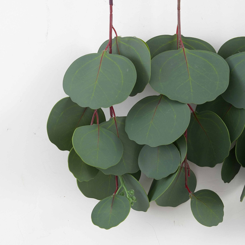 Nordic-style 3D window home decoration, eucalyptus grass, money leaves, eucalyptus leaves, wall hanging simulation plants pic 8