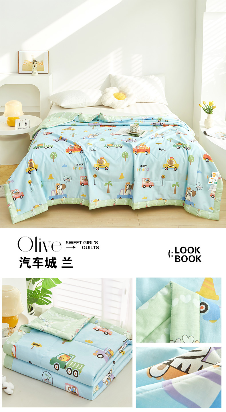 2024新款A类亲肤小清新纯棉夏被空调被批发夏凉被子全棉被芯批发详情55