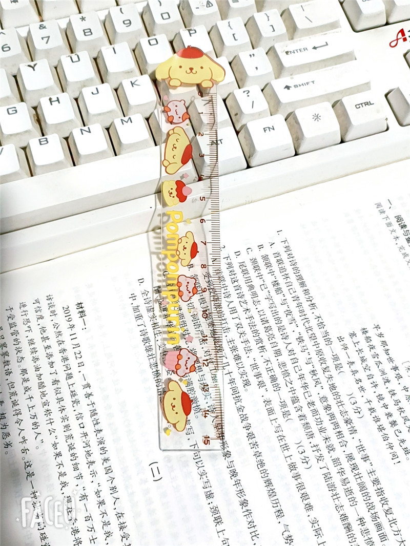 Cute and creative Sanrio cartoon pattern acrylic double-layer transparent student measuring 15CM stationery ruler pic 7
